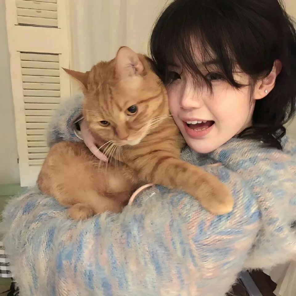 Double Face 潜入搜查篇